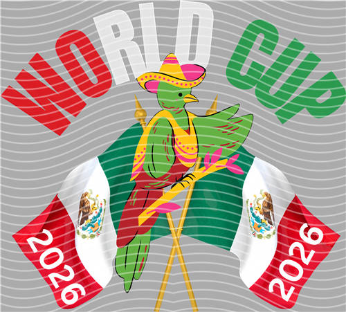 NBA and Team-QD 1313